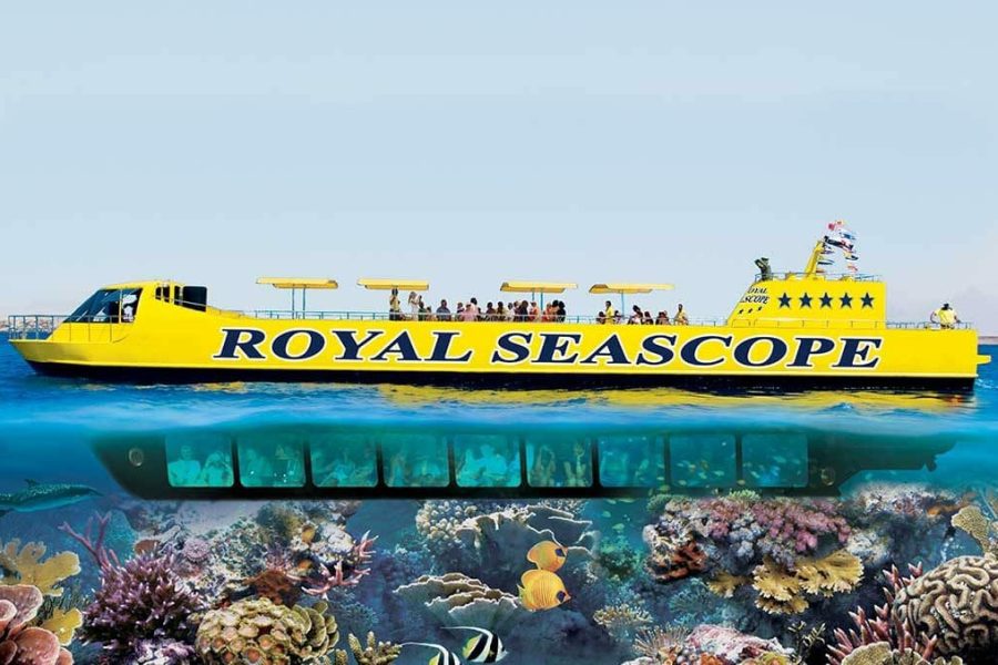 Semi Submarine Trip (Glass bottom Boat & Snorkeling)