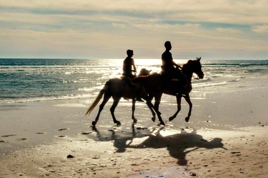 Horse Riding