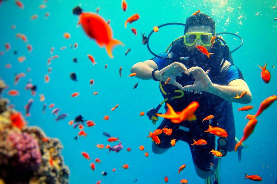 Scuba diving Full Day Trip