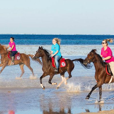 Entertaining Excursions